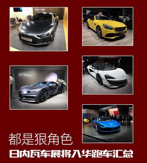 沈阳保时捷车友会车友群俱乐部都是狠角色 日内瓦车展将入华跑车