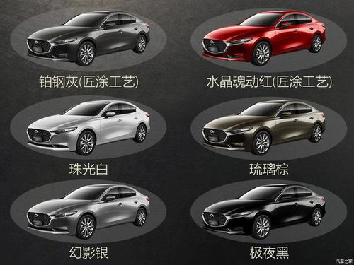 新疆保时捷车友会俱乐部买了不后悔 2020春节特辑热门轿车篇