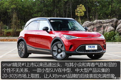 图观车市 1月新能源上险量排行榜及解读